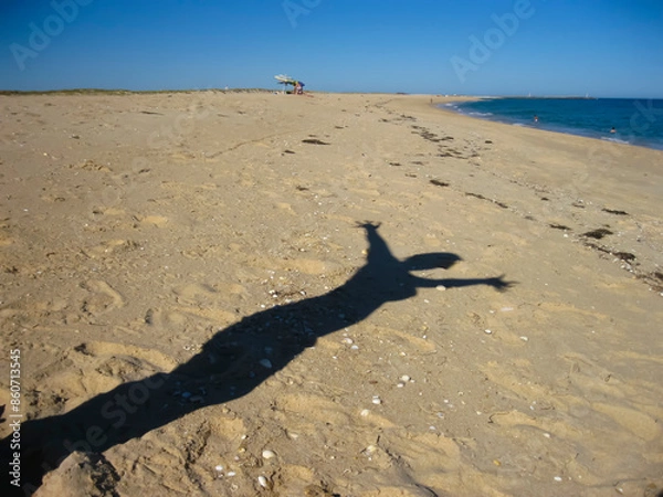 Fototapeta A persons shadow on a sandy beach shapes the landscape with gestures