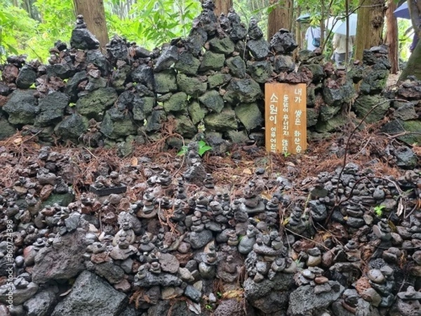 Obraz A view of the Saryeoni Forest Path of Jeju Island in korea