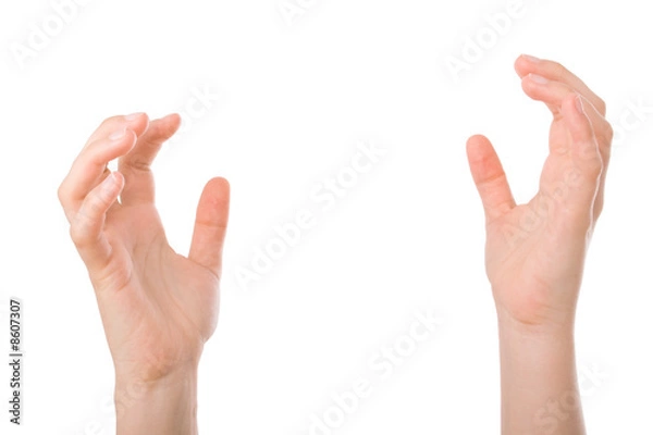 Fototapeta Hands open in prayer isolated on white background.