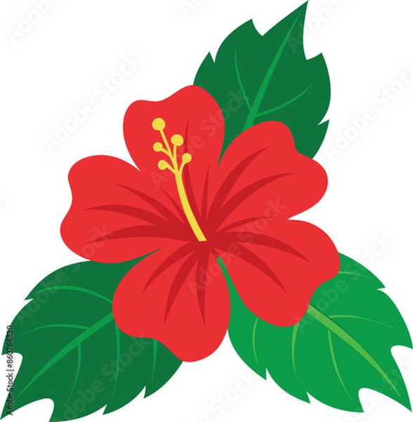 Fototapeta Hibiscus flower vector