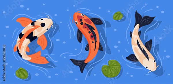Fototapeta Japanese koi carp fish. Swimming in pond colorful koi carp fish, cute oriental fish koi flat vector illustration set. Asian swimming carp fish