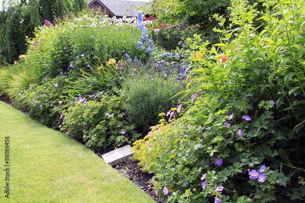 Obraz Garden flower bed