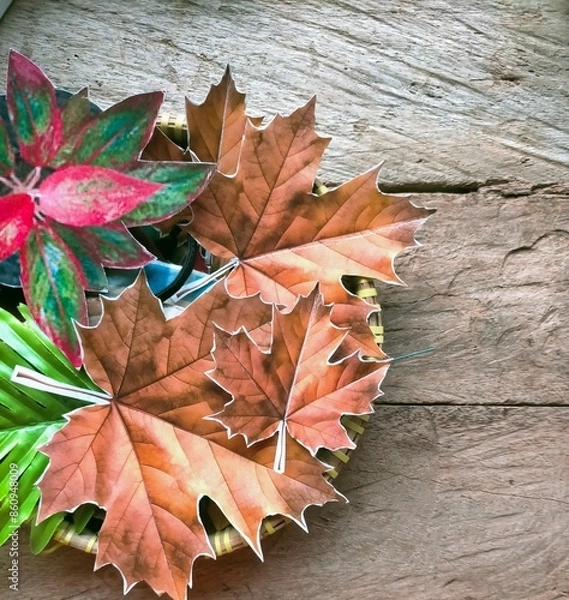Obraz Maple leaves on the table