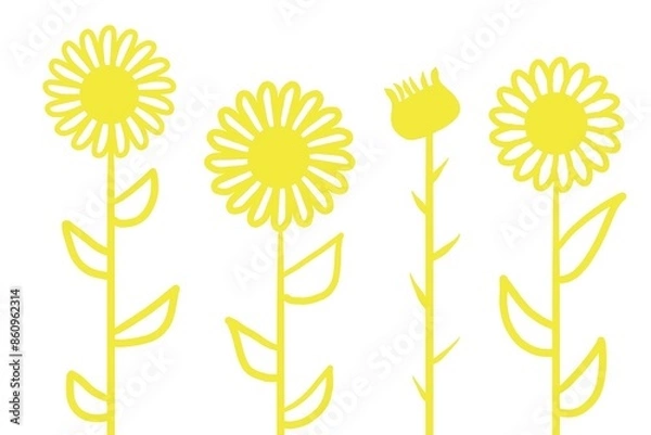 Fototapeta ひまわり