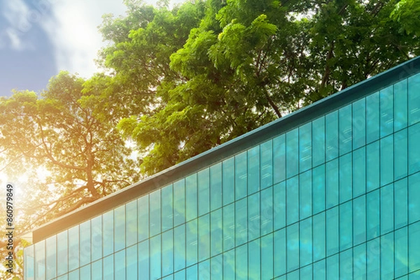 Fototapeta Eco-friendly building in the city. Sustainable glass office building with big tree for reducing heat and carbon dioxide. Office building with green environment. Corporate building reduce CO2.