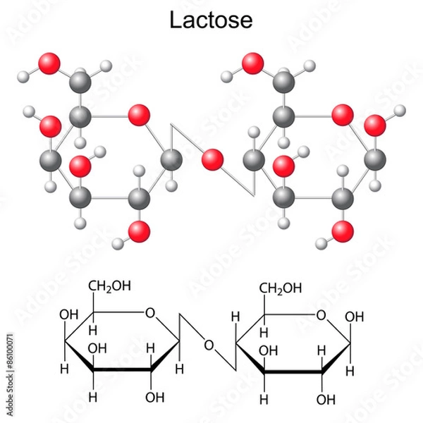 Fototapeta Chemical formula and model of  lactose molecule