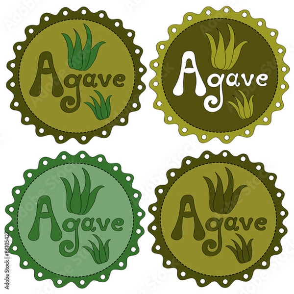Obraz Agave vector icons set