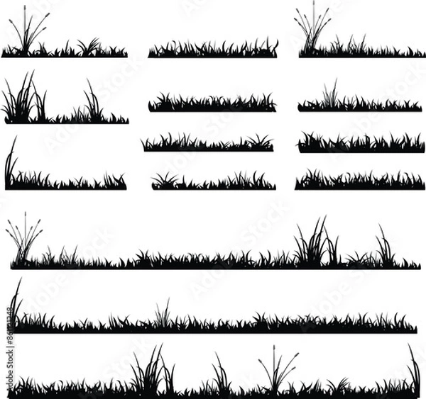 Obraz grass isolated silhouette in black, nature long grass, foliage, lawn, meadow vector 