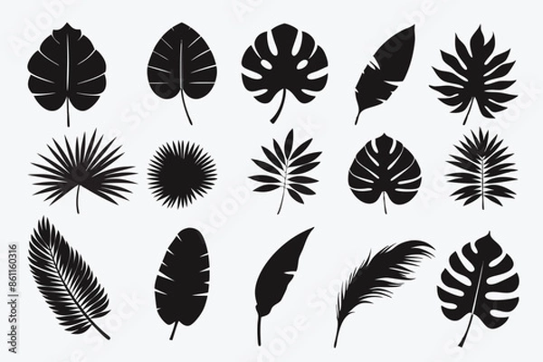 Fototapeta Tropical leaves abstract black flat silhouette set vector tropical, leaves, abstract, black, flat, silhouette, set, vector, drawing, clipart, icons, illustrations, graphics, outline, design, artwork