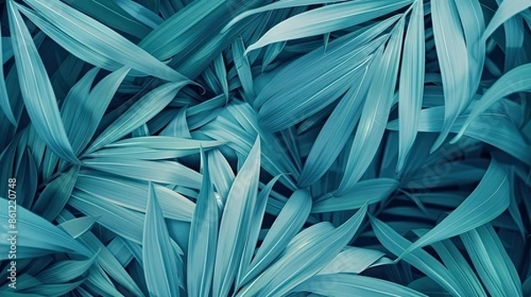 Fototapeta Abstract natural patterns inspired by palm leaves