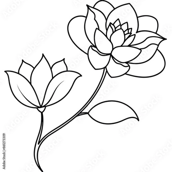 Obraz one line continuous of flower vector