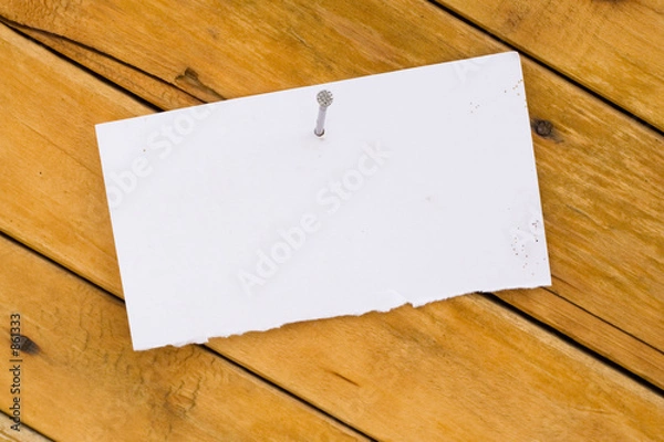 Obraz announcement on tree