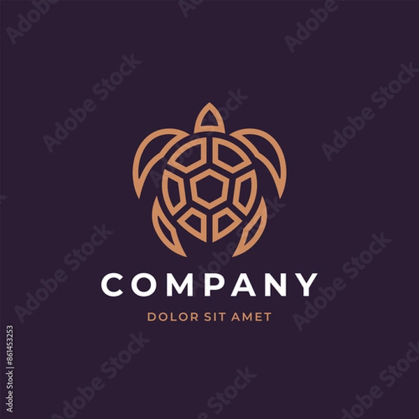 Obraz Turtle logo design. Modern icon. Sea turtle illustration.
