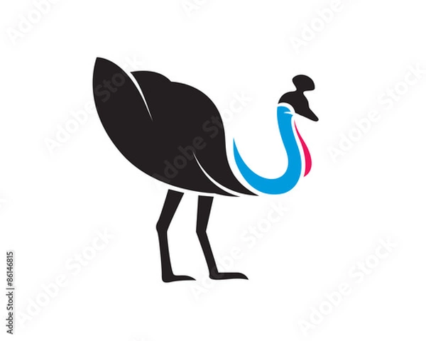 Obraz Cassowary Birds