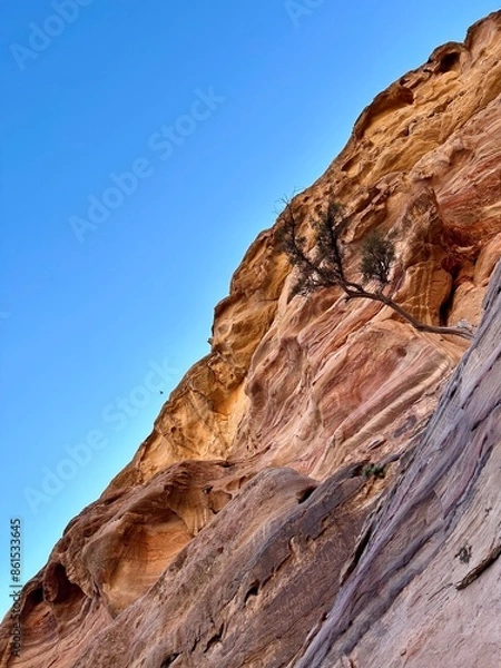 Obraz Rocks around Petra