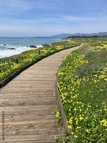 Obraz Coastal Wood Plank Pathway near Cambria