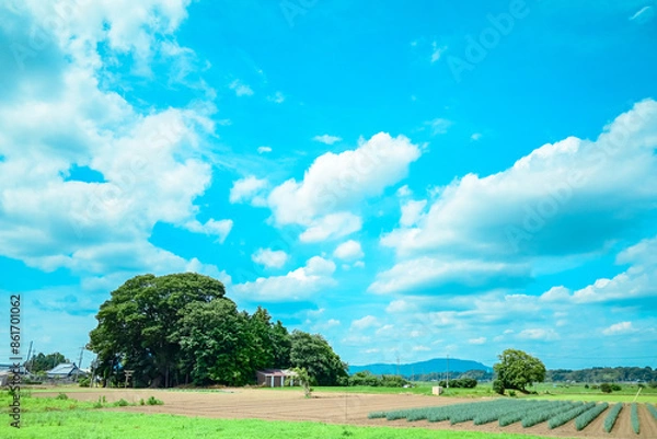 Obraz アニメのような日本の田舎の風景