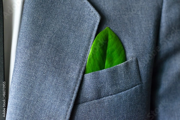 Fototapeta The businessman's photo in a suit with a leaf in a pocket