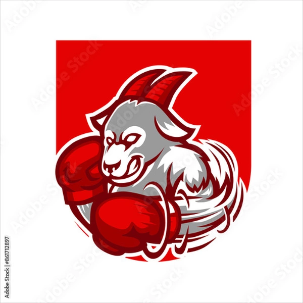 Fototapeta Boxing Sheep