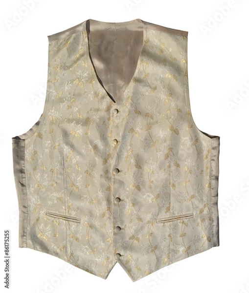 Obraz Vintage vest