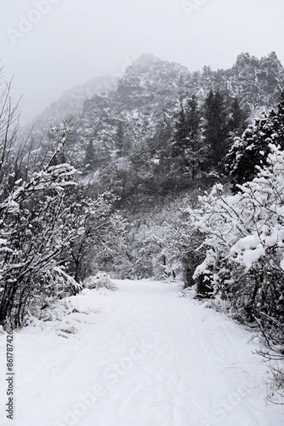 Fototapeta Snow Capped Mountain