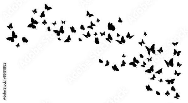 Fototapeta Flock of black butterflies silhouette flying on white background. Vector illustration