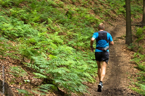 Fototapeta man running and training on the single trail in the forest