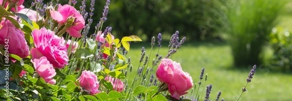 Fototapeta Różaniec w ogrodzie - format bannera