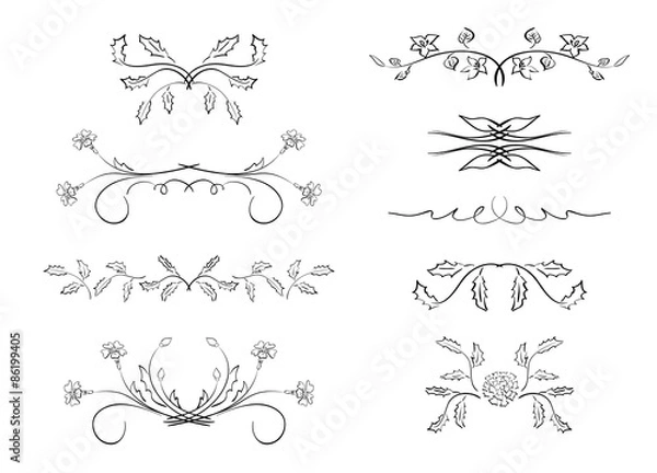 Fototapeta dividers - vector elements with flowers