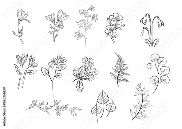Fototapeta vector of florals outlines collection