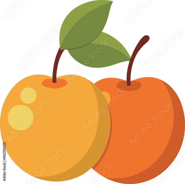 Obraz two mirabelles illustration flat design