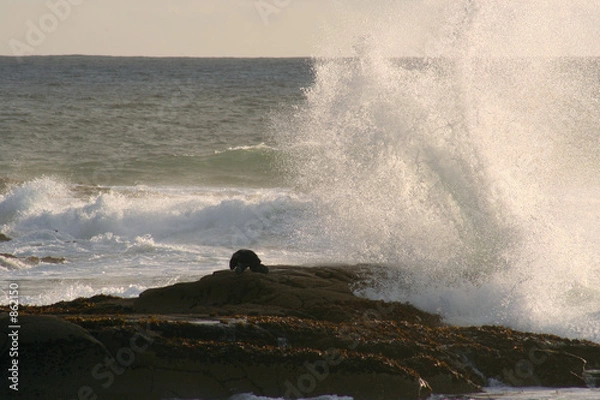 Fototapeta imminent soaking