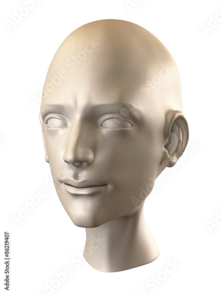Obraz Human Head