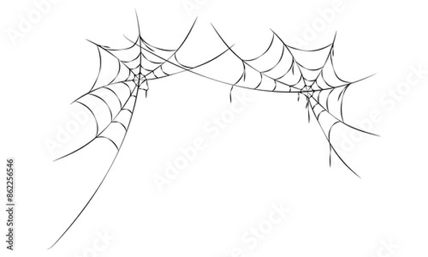 Fototapeta Hand drawn spiders web set on white background