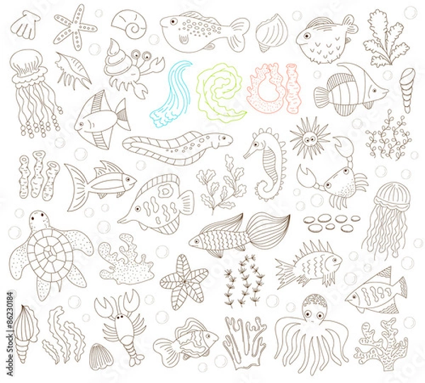 Obraz hand drawn underwater animals