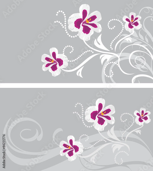 Fototapeta Decorative backgrounds with stylized pelargonium flowers