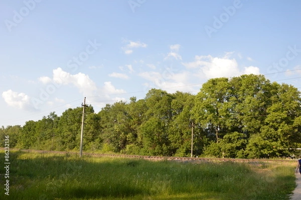 Fototapeta Лето на брянской земле
