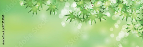 Fototapeta もみじ　葉　暑中見舞い　背景