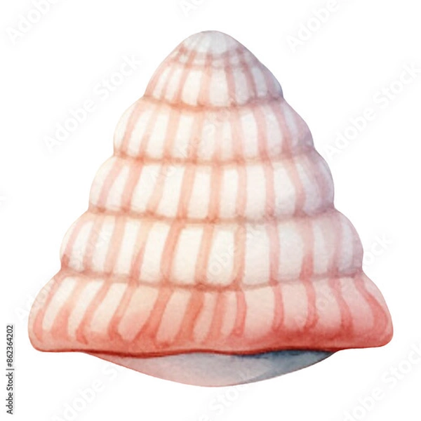 Obraz Seashell 