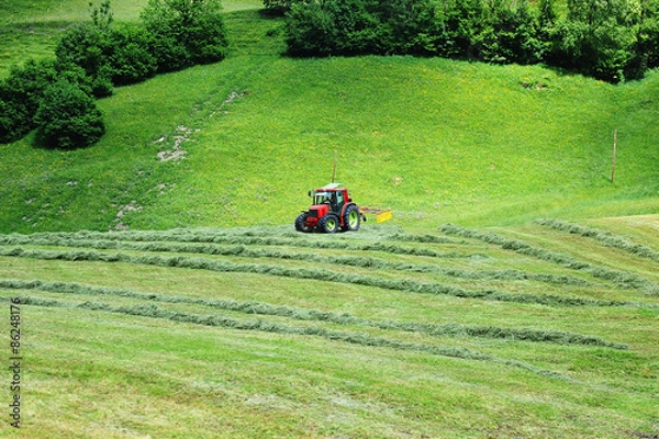 Fototapeta tractor in meadows