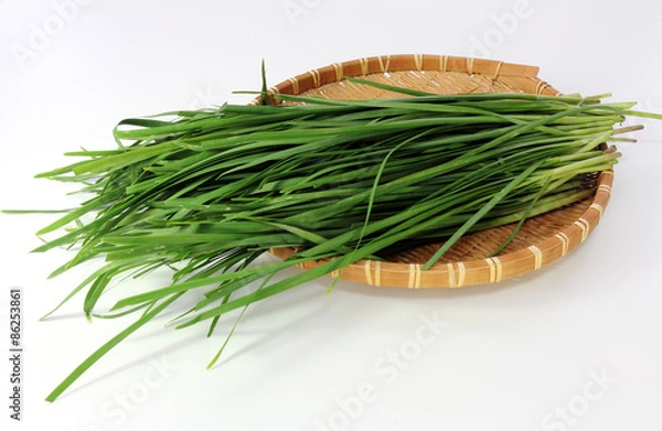Obraz ニラの束をざるに乗せる