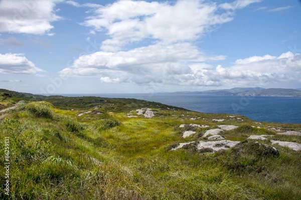 Obraz Sheep's Head Peninsular