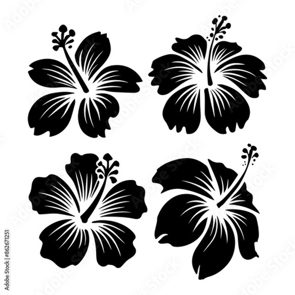 Fototapeta Vector set of black silhouettes of tropical hibiscus flowers isolated on a white background