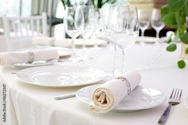 Obraz Serving beautifully