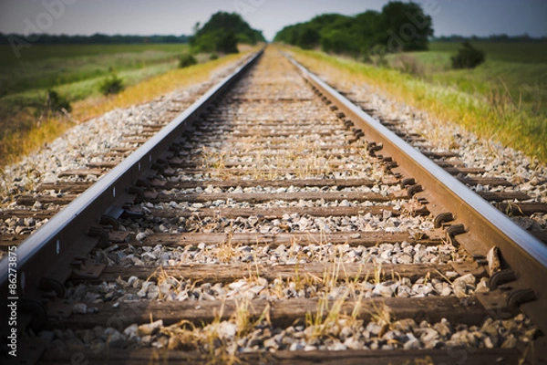 Obraz Railway, Railroad, Train Tracks, Green Pasture, Selective Focus