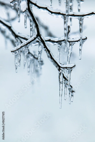 Obraz Ice Storm