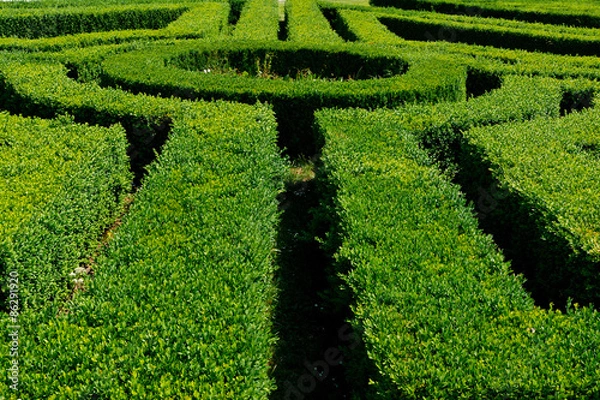 Obraz Bush ornaments