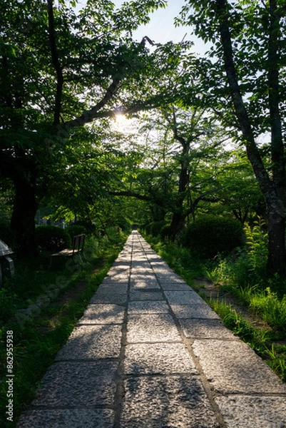 Obraz Stone sidewalk among the trees with sunset