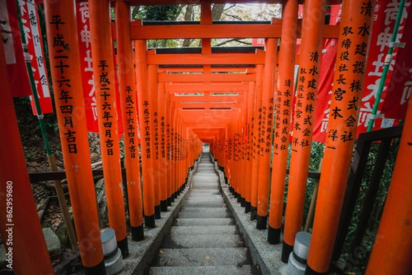 Obraz Red torii gates passage staircase tunnel