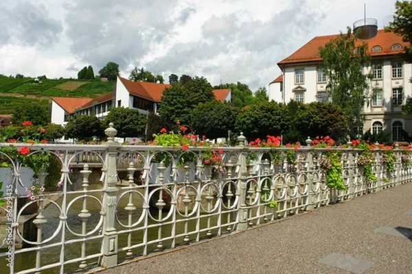 Fototapeta Bridge in flowers